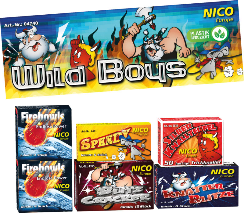 Wild Boys, 6 Schachteln sortiert