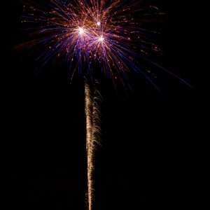 05045_effekt03 Hofnarr, 25 Schuss