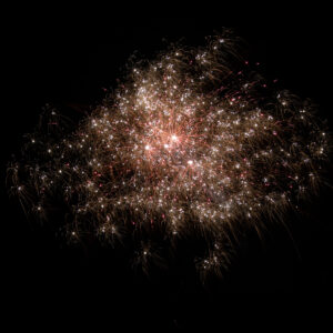 05045_effekt05 Hofnarr, 25 Schuss