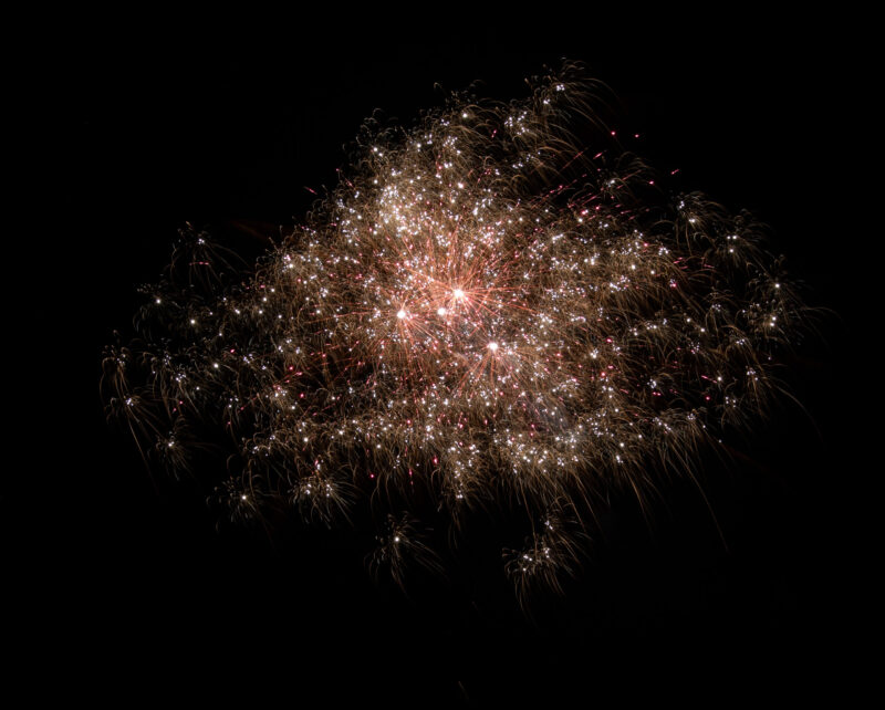 05045_effekt05 Hofnarr, 25 Schuss