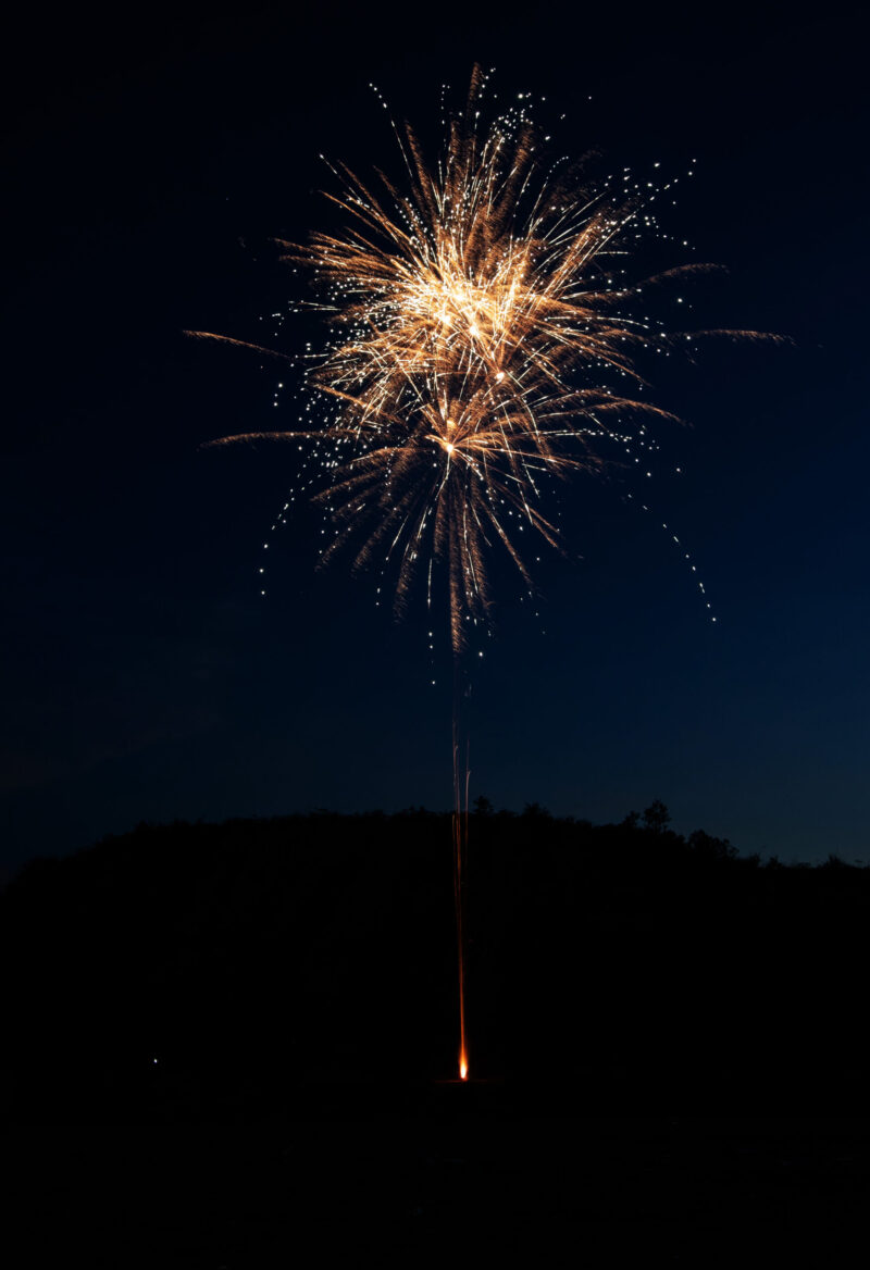 Peter der Große, 25 Schuss