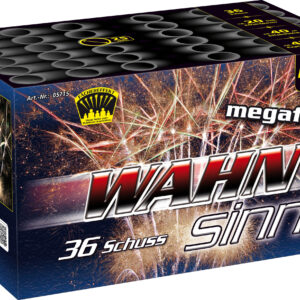 WAHNsinn, 36 Schuss