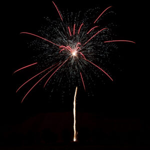 Flowergirls, 64 Schuss