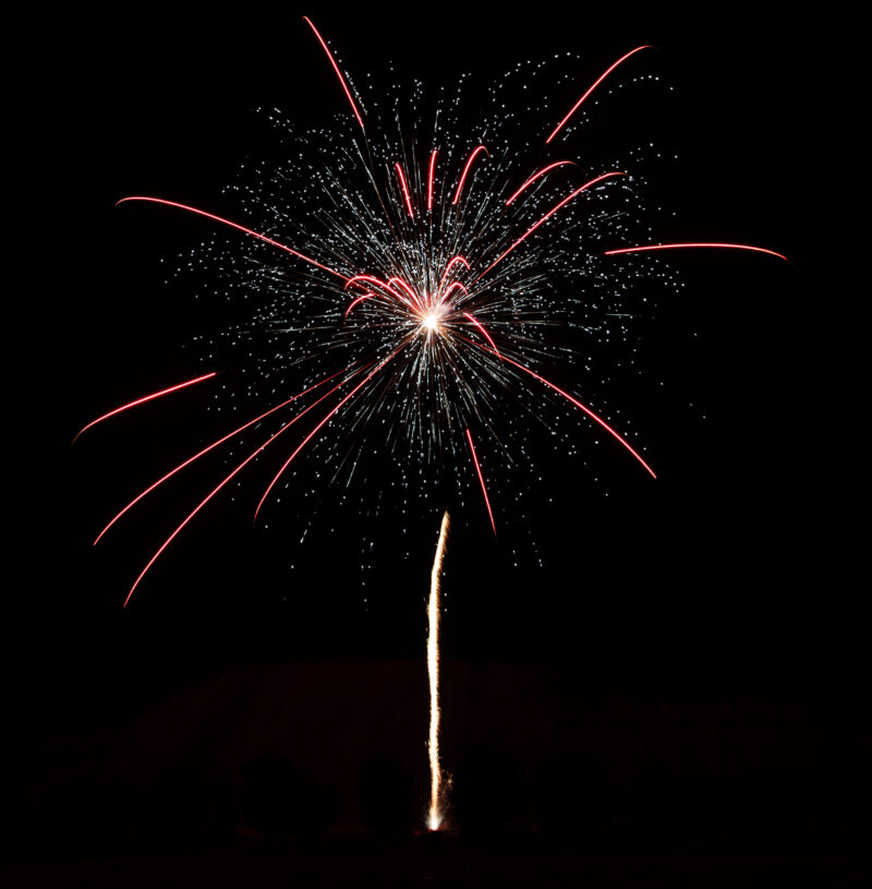 Flowergirls, 64 Schuss