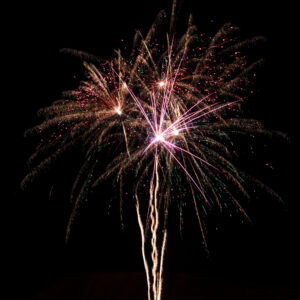 Flowergirls, 64 Schuss