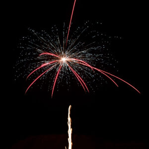 Flowergirls, 64 Schuss