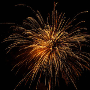 Gold Digger Joe, 20 Schuss