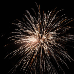 Gold Digger Joe, 20 Schuss