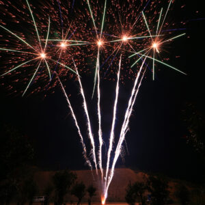 Delta Fire V100-1870, 100 Schuss